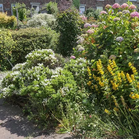 Sea Change Nyaraló Whitby