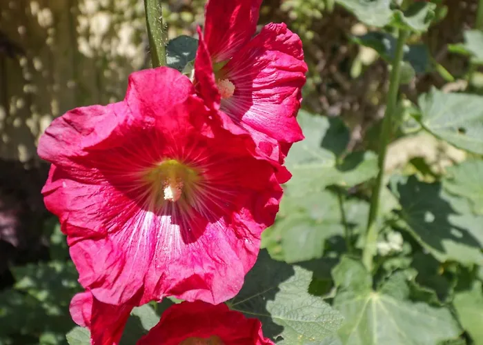 Nyaraló Sea Change *