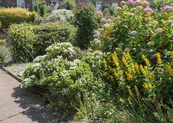 Sea Change Nyaraló Whitby