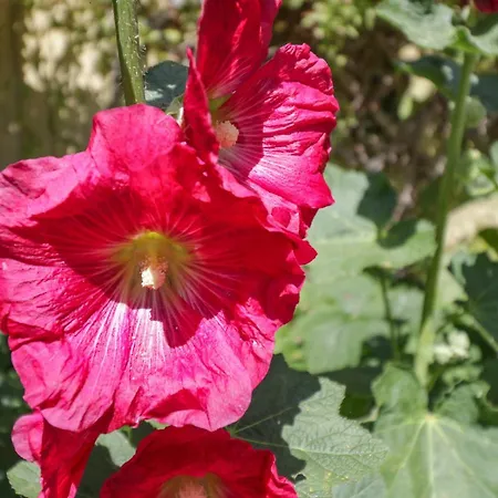 度假居 Sea Change *